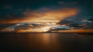 Scopri di più sull'articolo Pace e natura