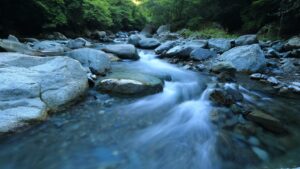 Scopri di più sull'articolo Scorre il fiume