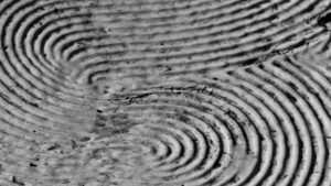Scopri di più sull'articolo Verità