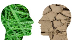 Scopri di più sull'articolo La volontà contro