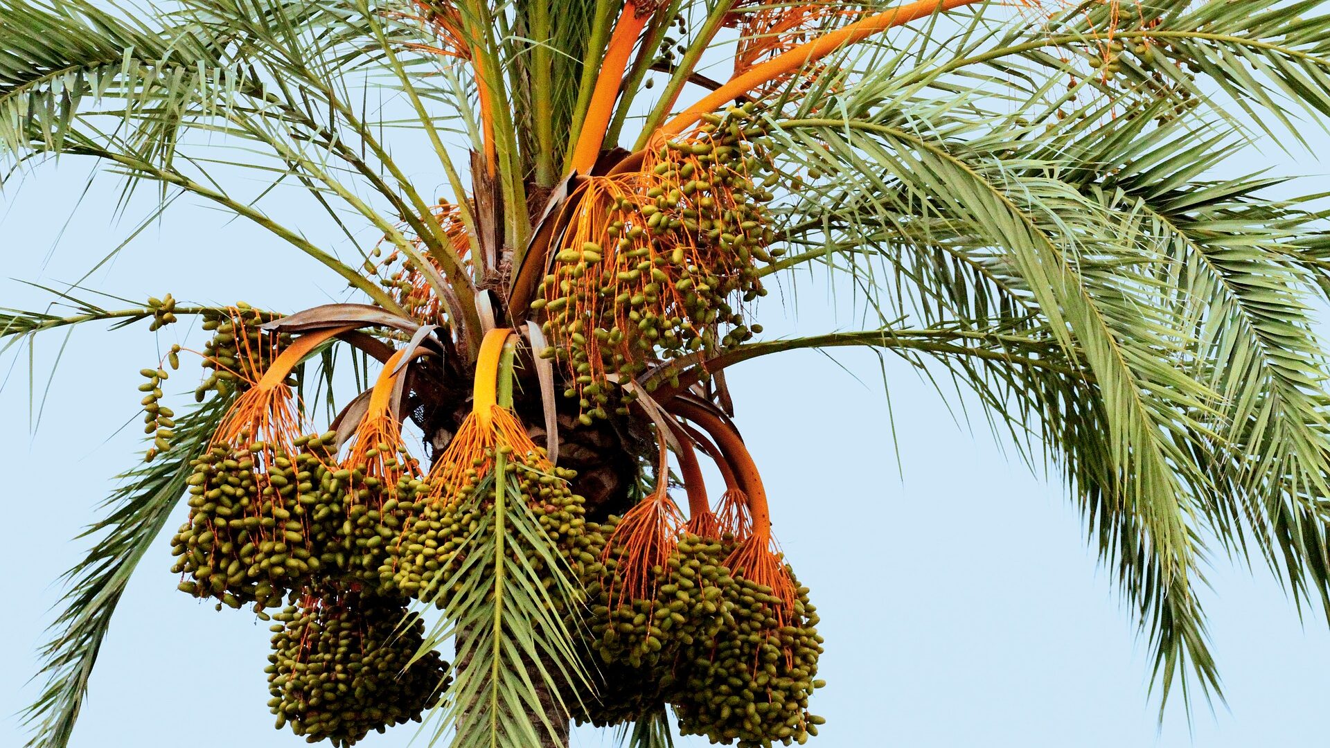 Scopri di più sull'articolo SICILIA-TUNISIA