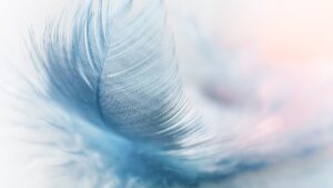 Scopri di più sull'articolo Si perde nel vento