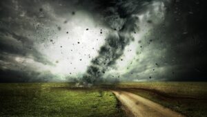 Scopri di più sull'articolo Si perde nel vento