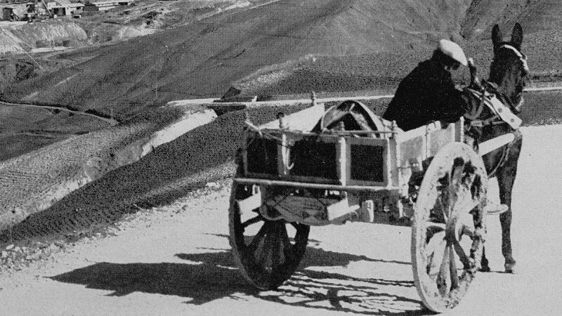 Scopri di più sull'articolo U carritteri