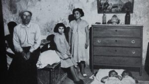 Scopri di più sull'articolo Catojo