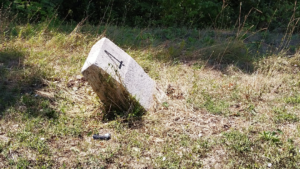 Scopri di più sull'articolo Cantunera